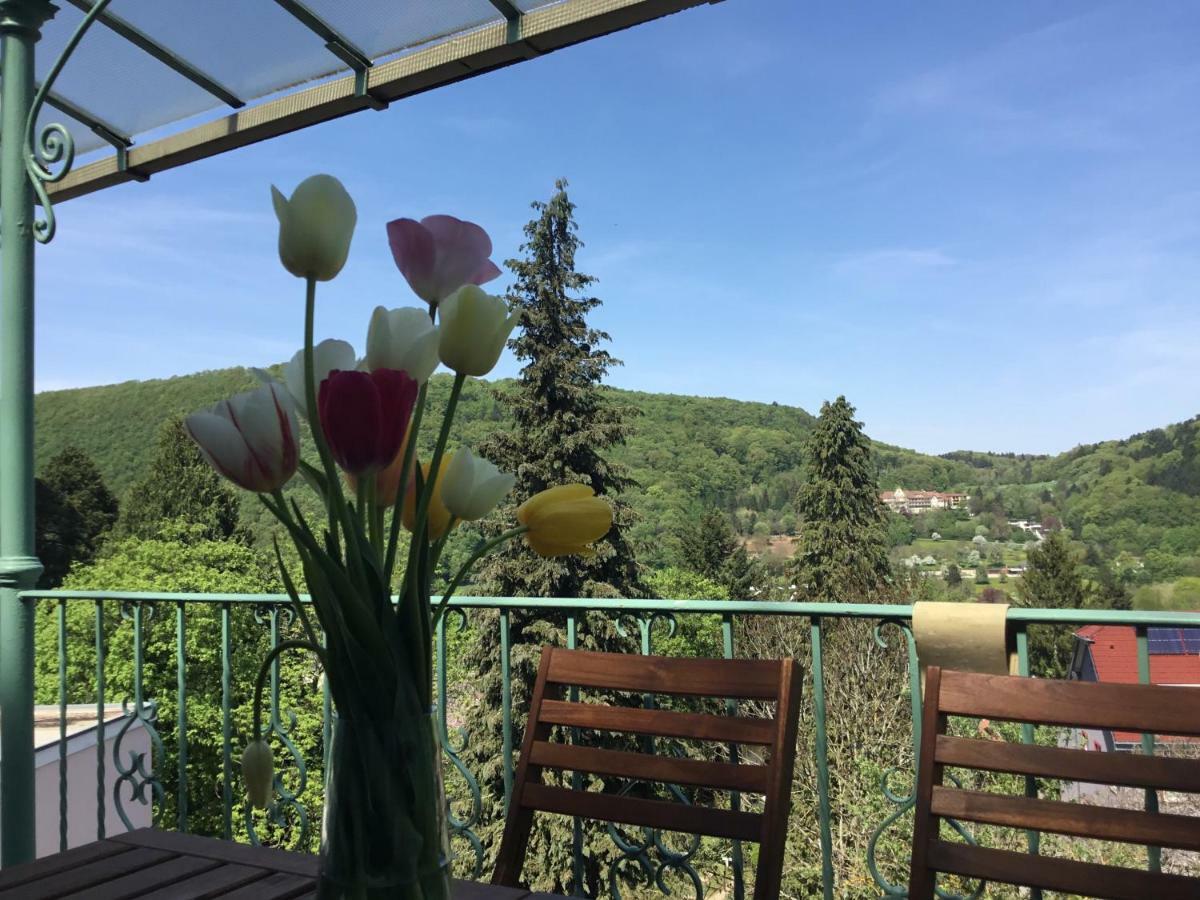 באדנוויילר Ferienwohnung Villa Josephine מראה חיצוני תמונה